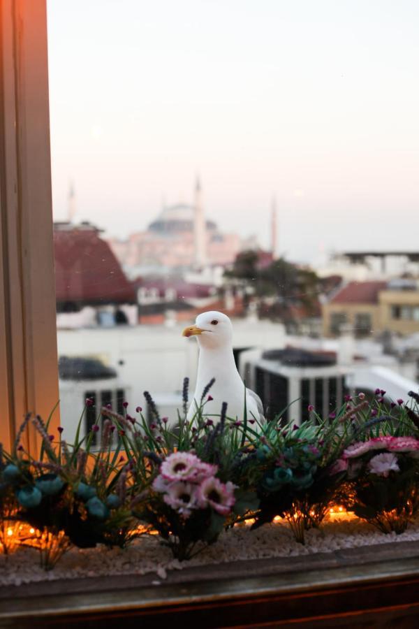 Great Fortune Hotel & Spa Istanbul Exterior photo